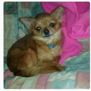 Meet your Posher, Robyn